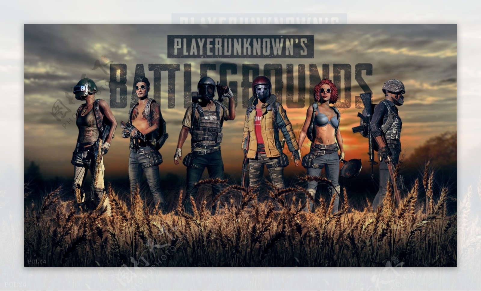 的案例来看 的案例来看